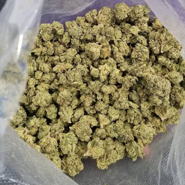 Buy Blueberry Kush Online